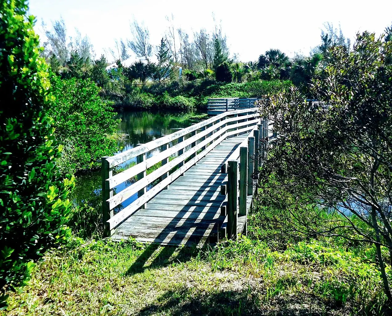 Zuid-Georgia en de Zuidelijke Sandwicheilanden houten brug